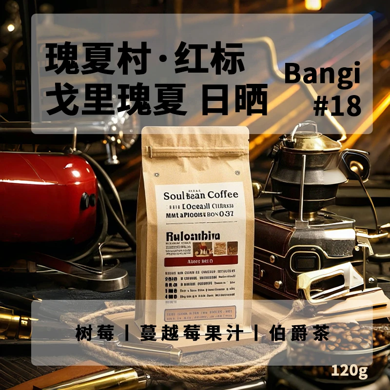 术也咖啡  瑰夏村红标 戈里瑰夏 2025产季精品手冲日晒咖啡豆120g
