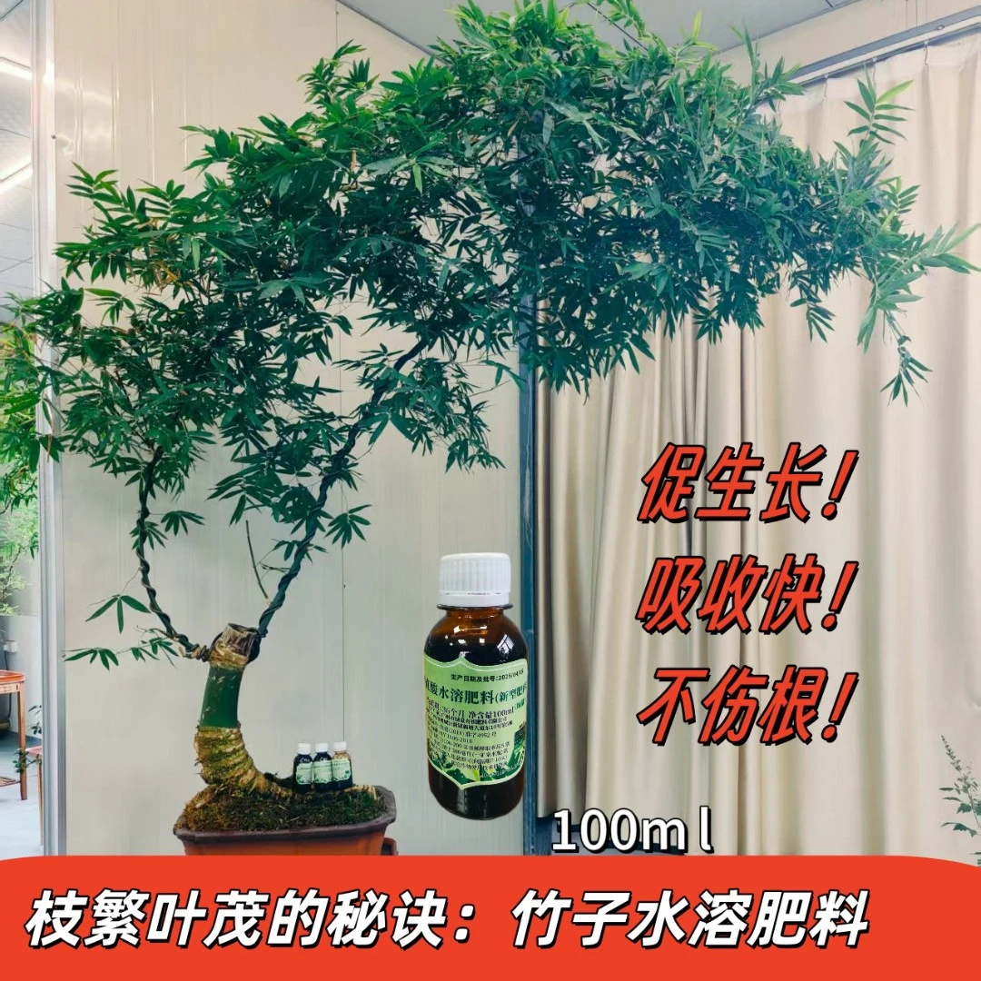 铭章~推荐好用的竹子水溶肥料（竹子必用）枝繁叶茂的秘诀