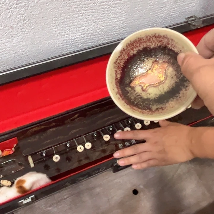 啵**哆新亿阁杂项无售后