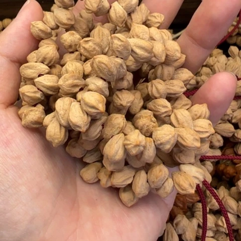 【闪购商品】吊坠柏香籽/百香籽西***罗