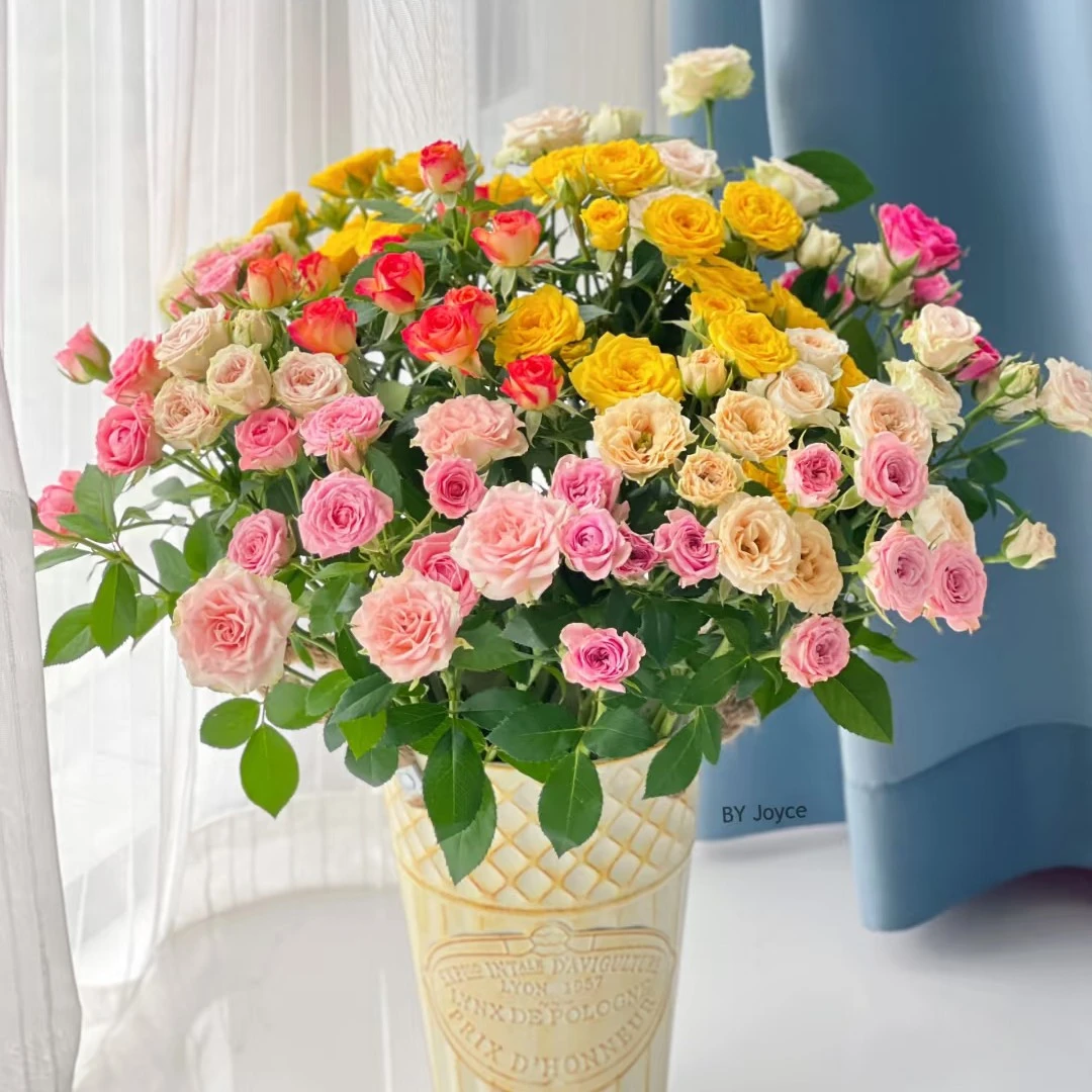 【香羿鲜花】多头 混色玫瑰5枝/全场任意两单包邮