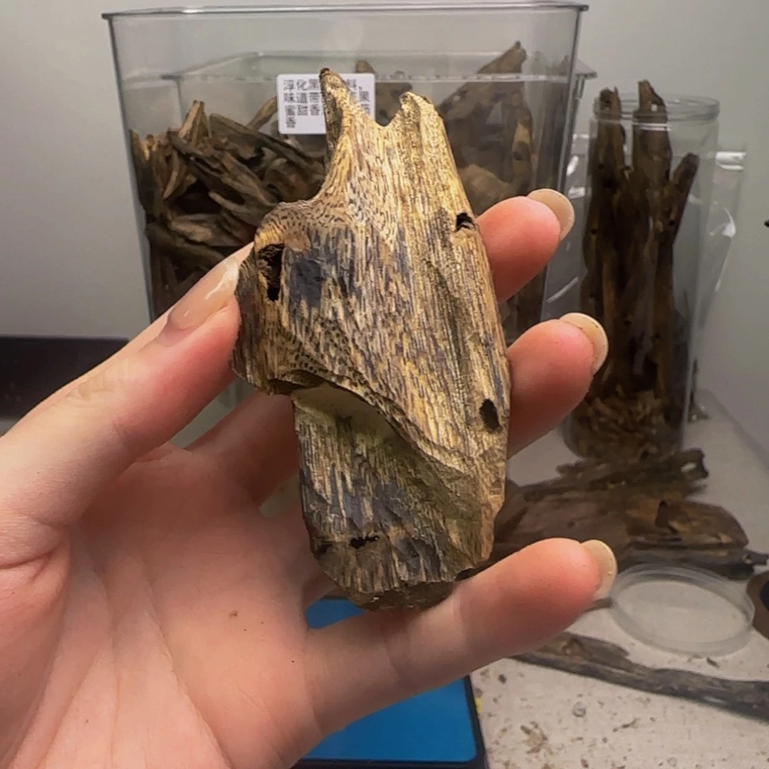 沉香沉香碎屑海南白棋 52