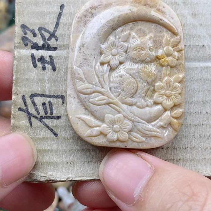 硅化珊瑚（珊瑚玉）未镶嵌颈饰彬