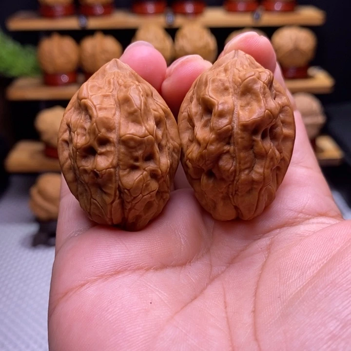 银***舰核桃云铁毒蝎子4号