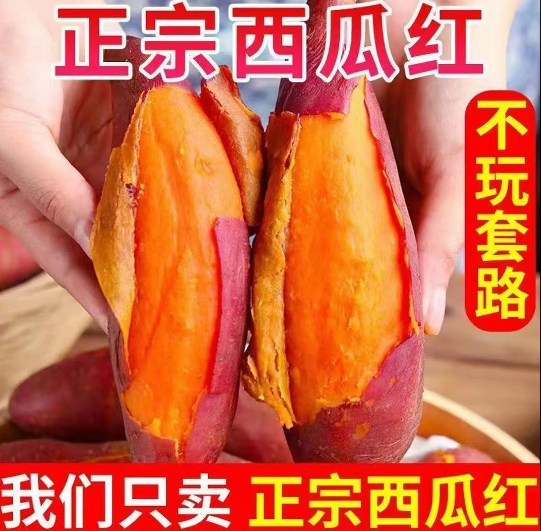 现挖西瓜红蜜薯番薯香甜软糯自种红皮红心红薯非紫薯