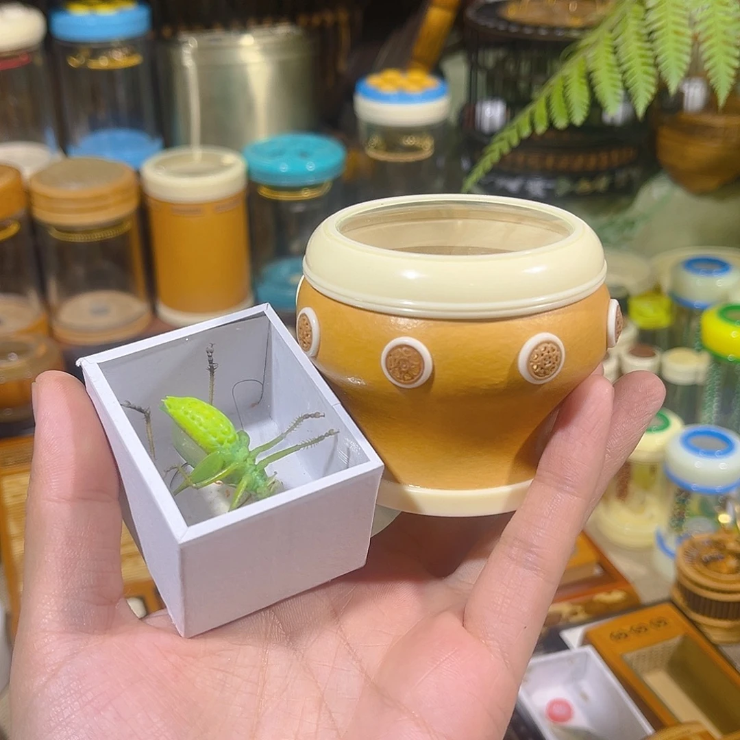 蟋蟀葫芦皮万体+扎嘴儿