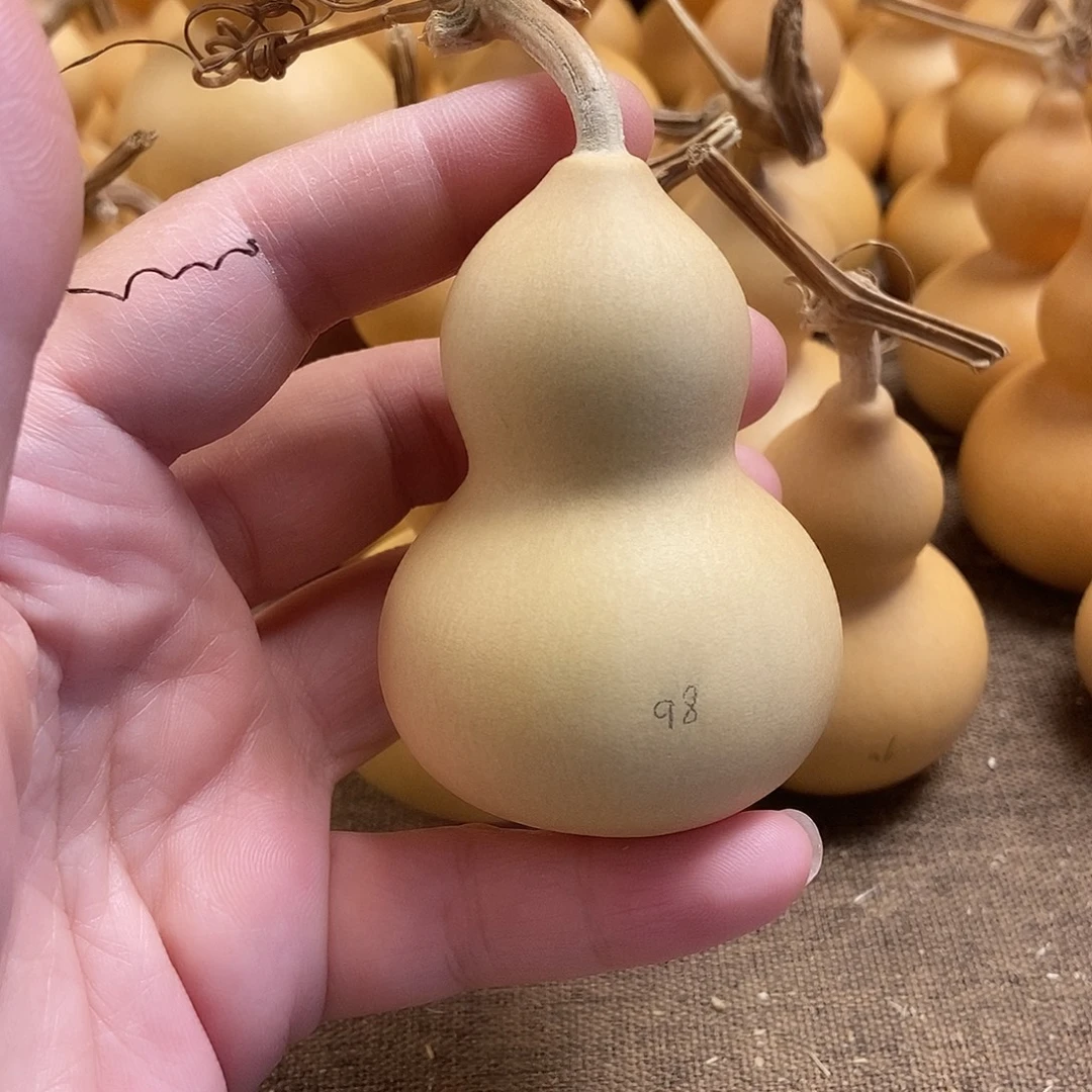 文玩葫芦 完美主义者 慎拍98