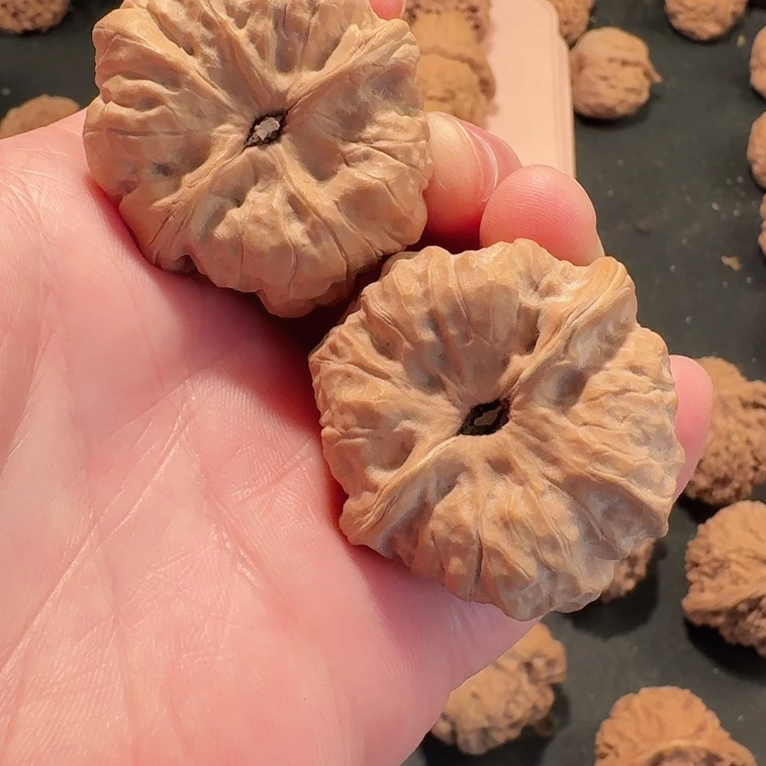 全品蛤蟆头狮子头40