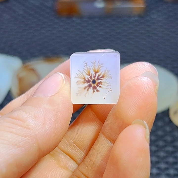 小***猫未镶嵌玛瑙/玉髓珠宝半成品
