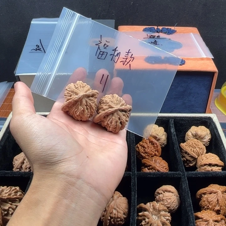 核桃哈哈哈哈哈哈哈哈