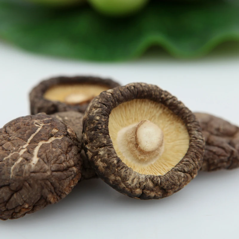 【丽丽专属】香菇100g*4袋