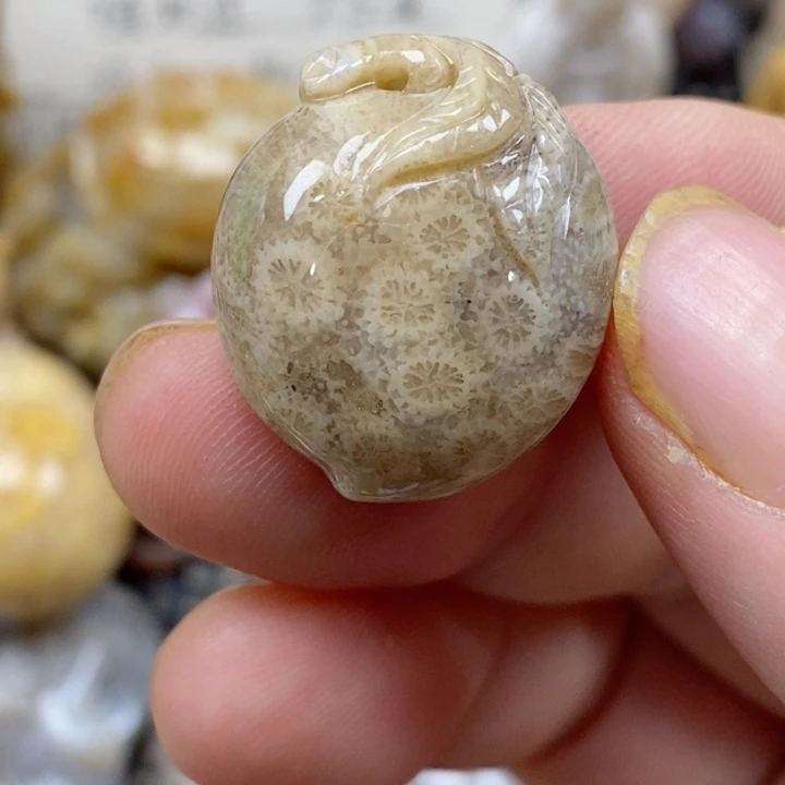颈饰未镶嵌硅化珊瑚（珊瑚玉）小