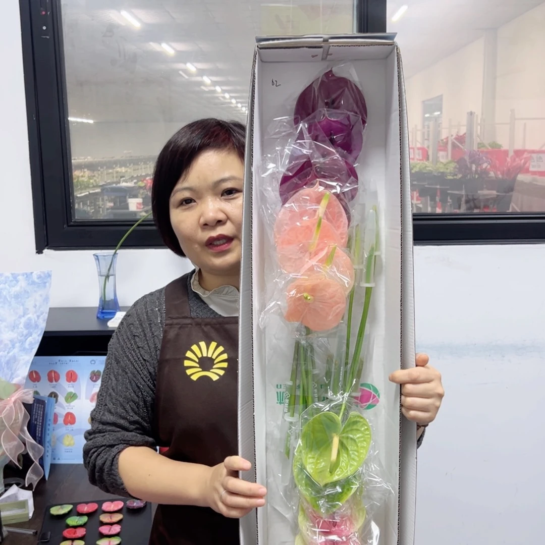 完全开放混色-16枝装02