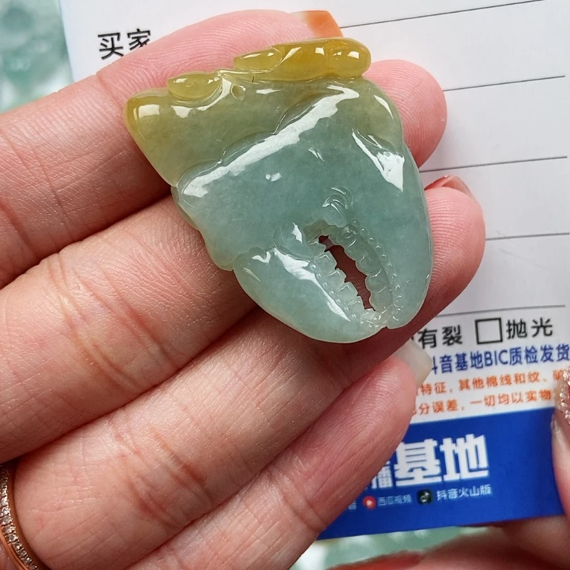 【闪购商品】翡翠颈饰未镶嵌有钱花