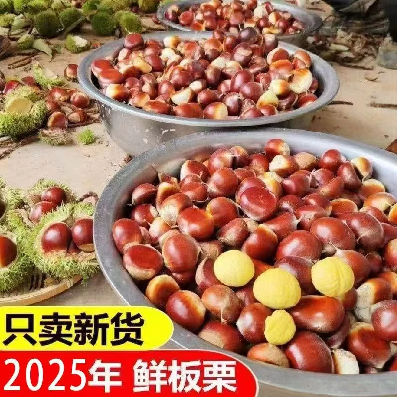2025高山板栗口感粉糯香甜颗粒饱满