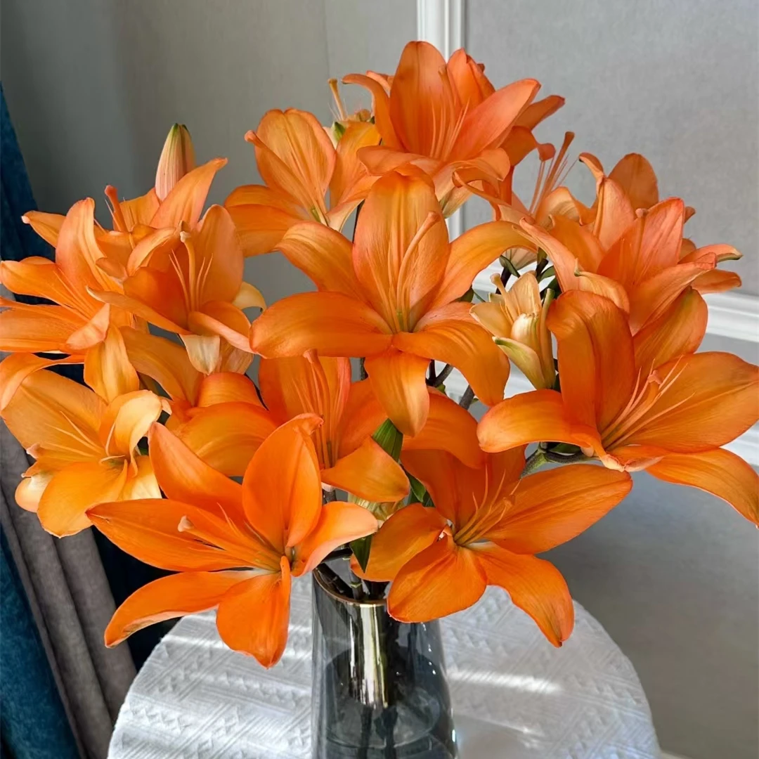 橙色梦想【橙色系单瓣亚百合】鲜花