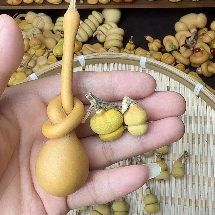 豆***七葫芦笙是最可爱滴小孩啦呜呜可爱