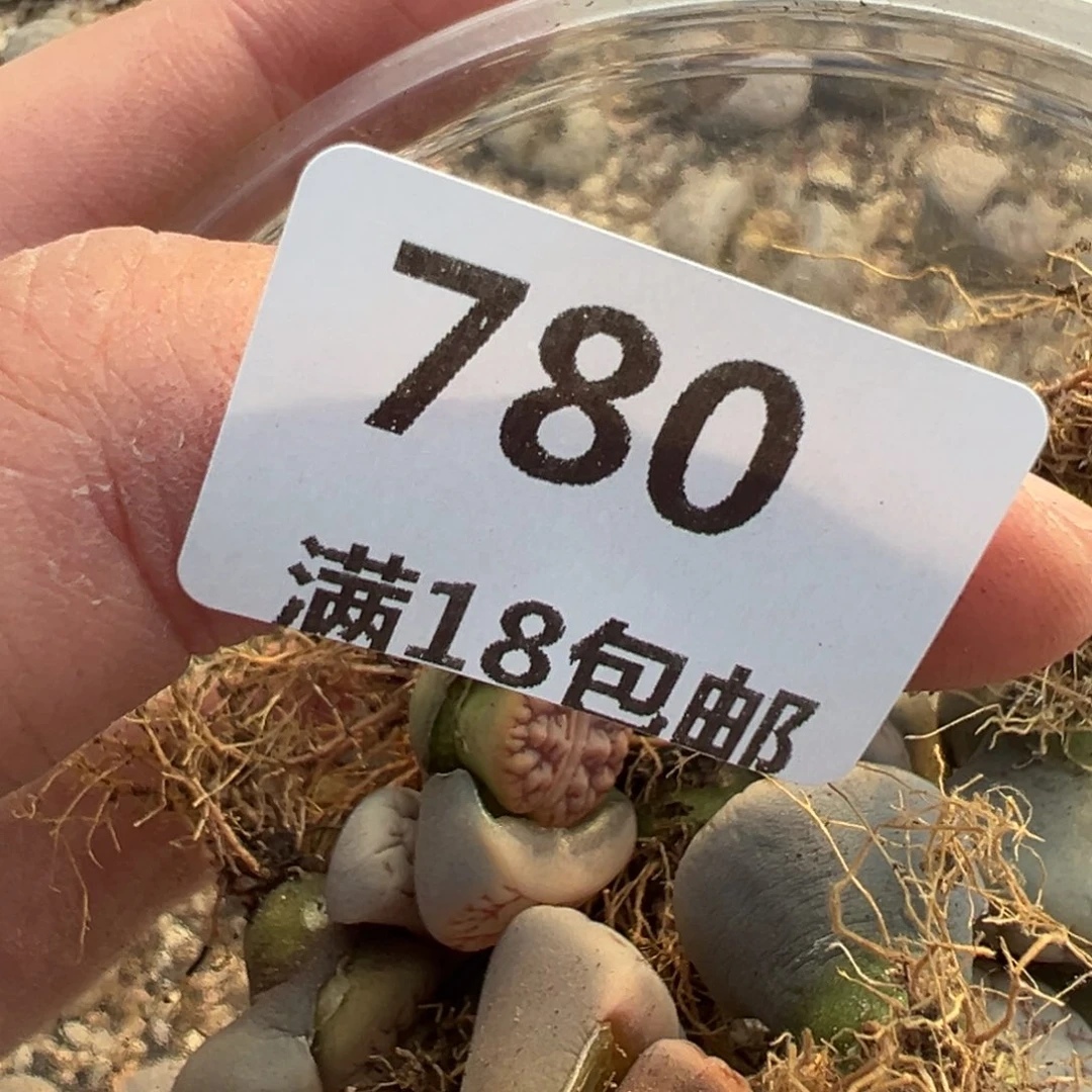 【闪购商品】M780……