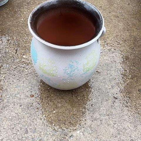 19/24瑕疵掉耳朵。