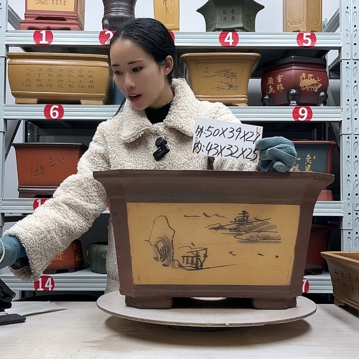 紫砂花盆紫砂花盆