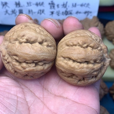 把件文玩核桃兴**哥44尺粗筋霸王龙