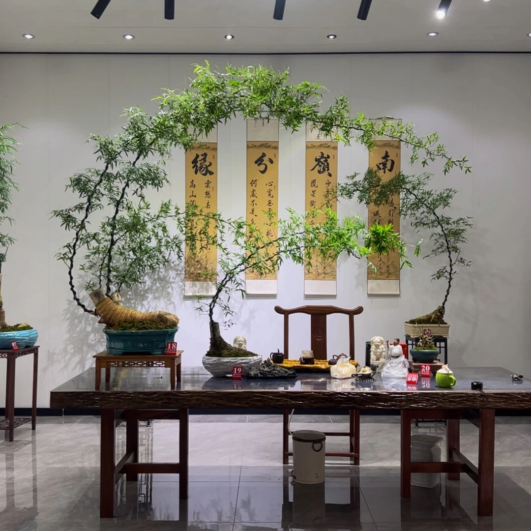 桀****无花朵19号专拍大飘