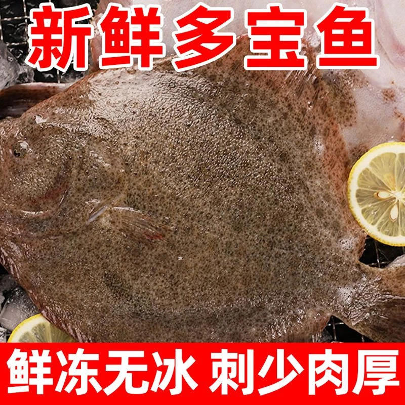 三去免清理特大多宝鱼鲜活速冻大菱鲆野生水产比目鱼鲽鱼海鲜批发
