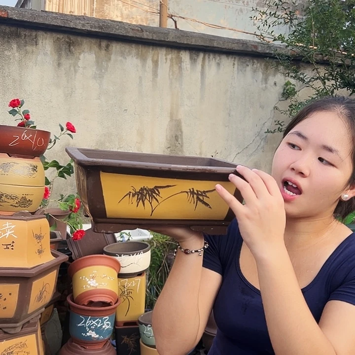 32黄马槽花盆花盆花盆