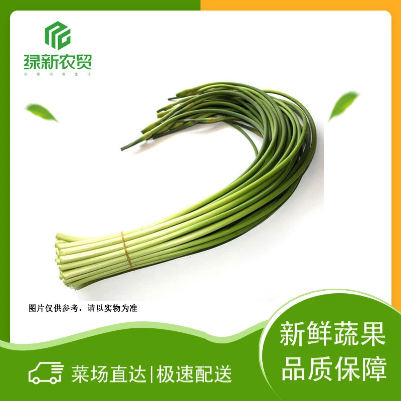 蒜苔 500g±50g/份