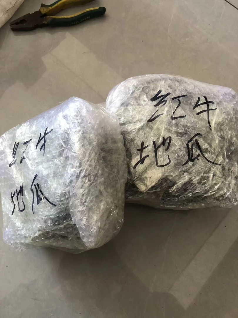 宏牛专用款软黄 小踏板铁质圆形老鼠夹 家用老鼠夹