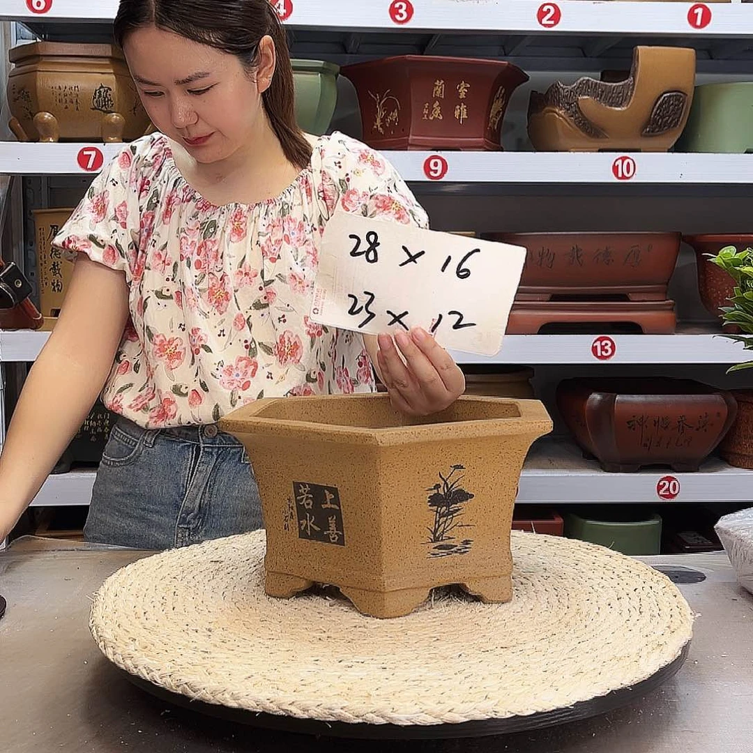 紫砂花盆紫砂花盆