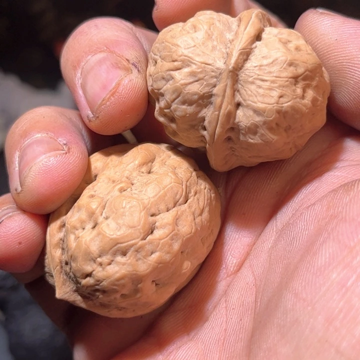 文玩核桃吊坠2**8滇西30