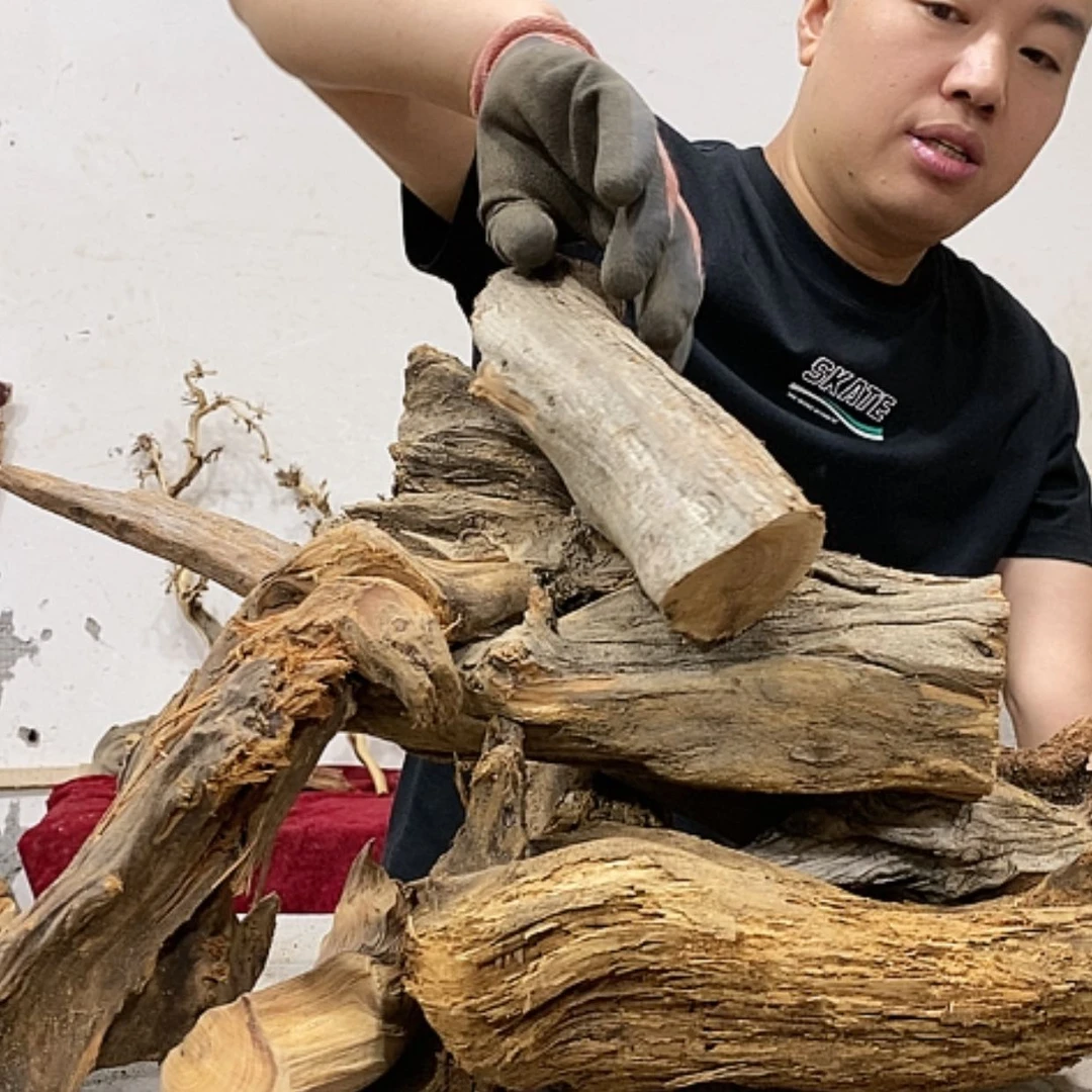 【闪购商品】柏木无*我们都是好孩子