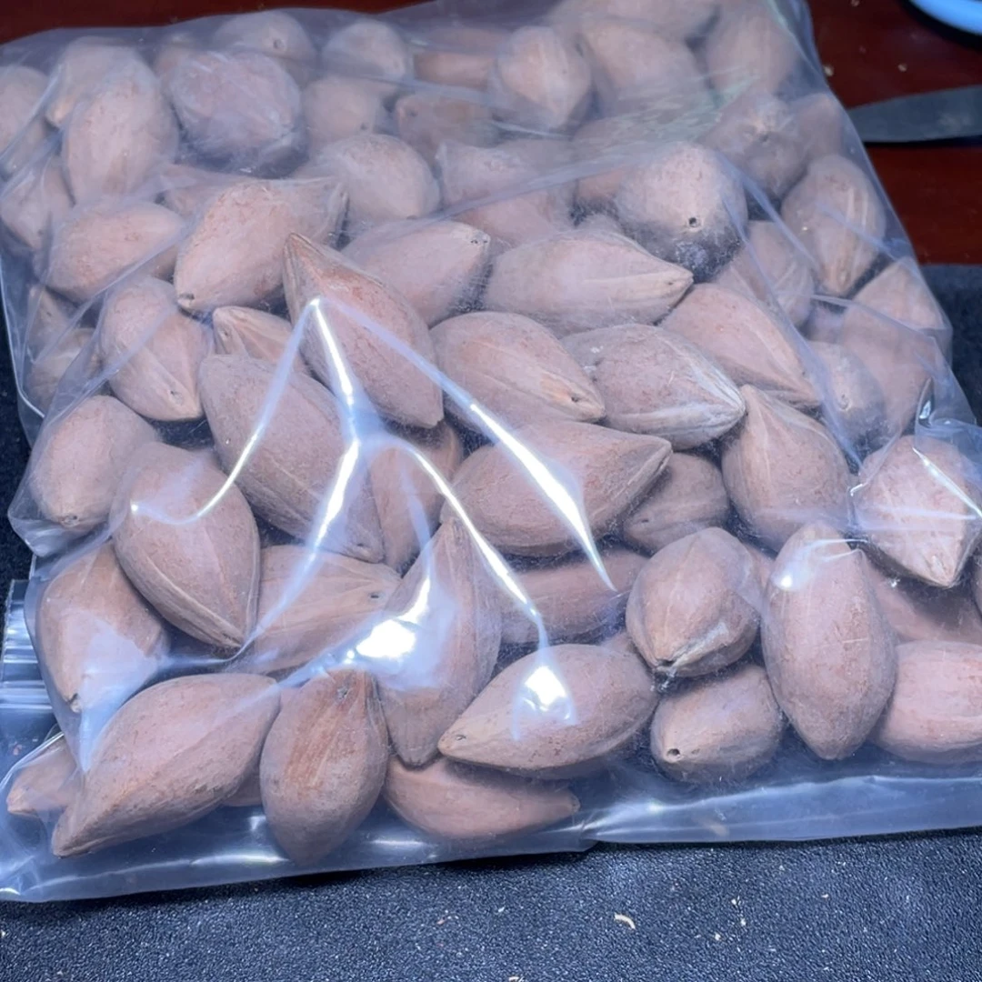 蓝***天橄榄核手串/手链不退不换
