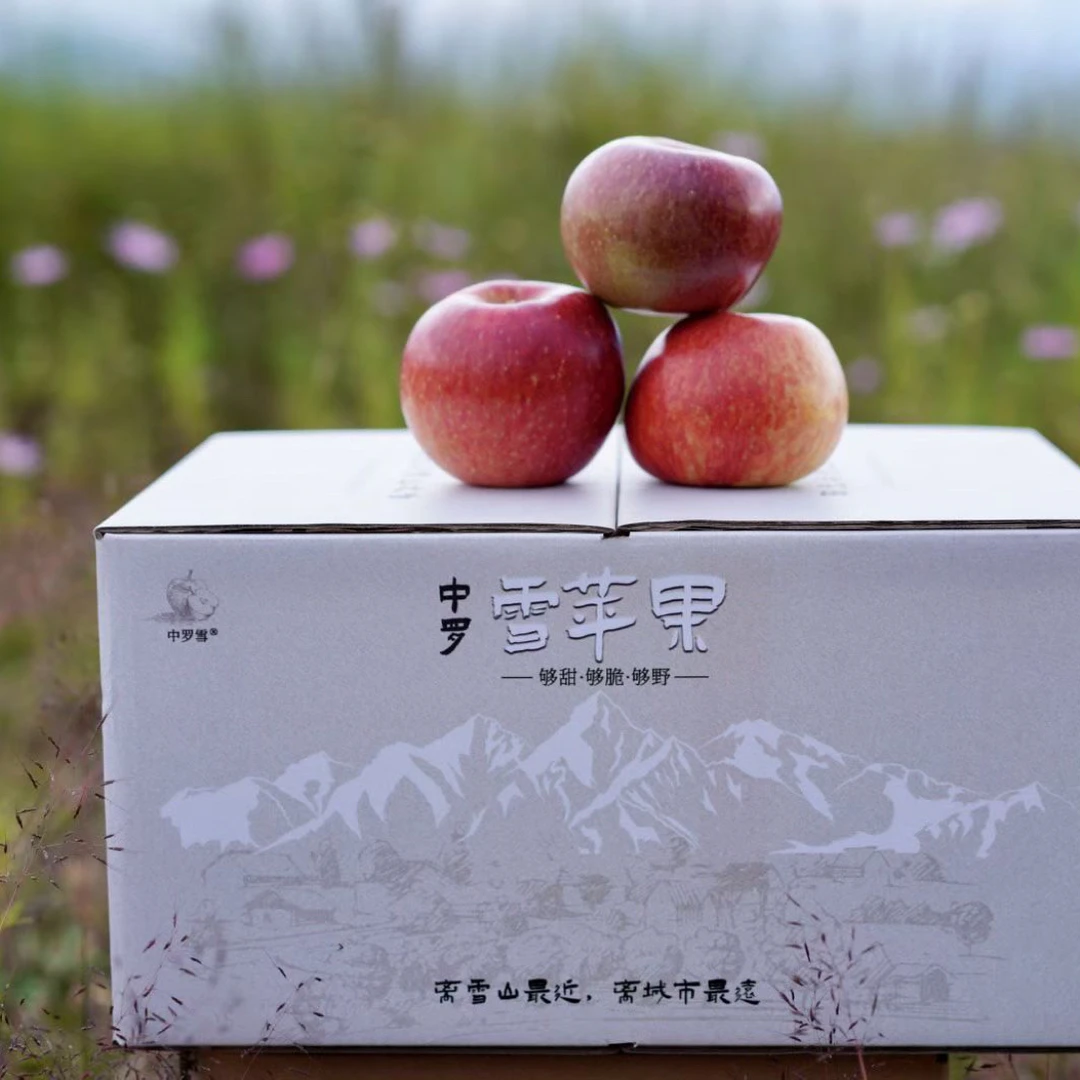 云南丽江中罗村雪苹果