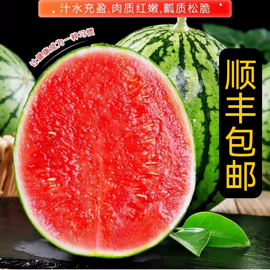 【顺丰包邮】【次日达】正宗甘美2K手剥小糖丸西瓜皮薄新鲜应季水果3-5斤山东省