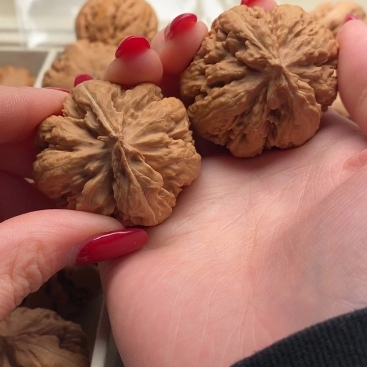 用***7把件文玩核桃霸王龙