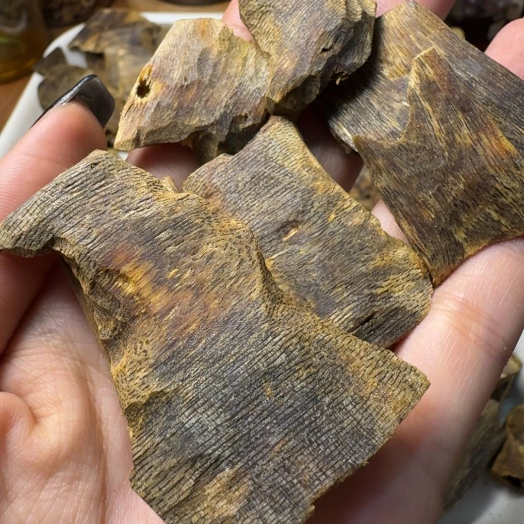 沉香碎屑沉香海南白棋乌身圆叶高油块料50g