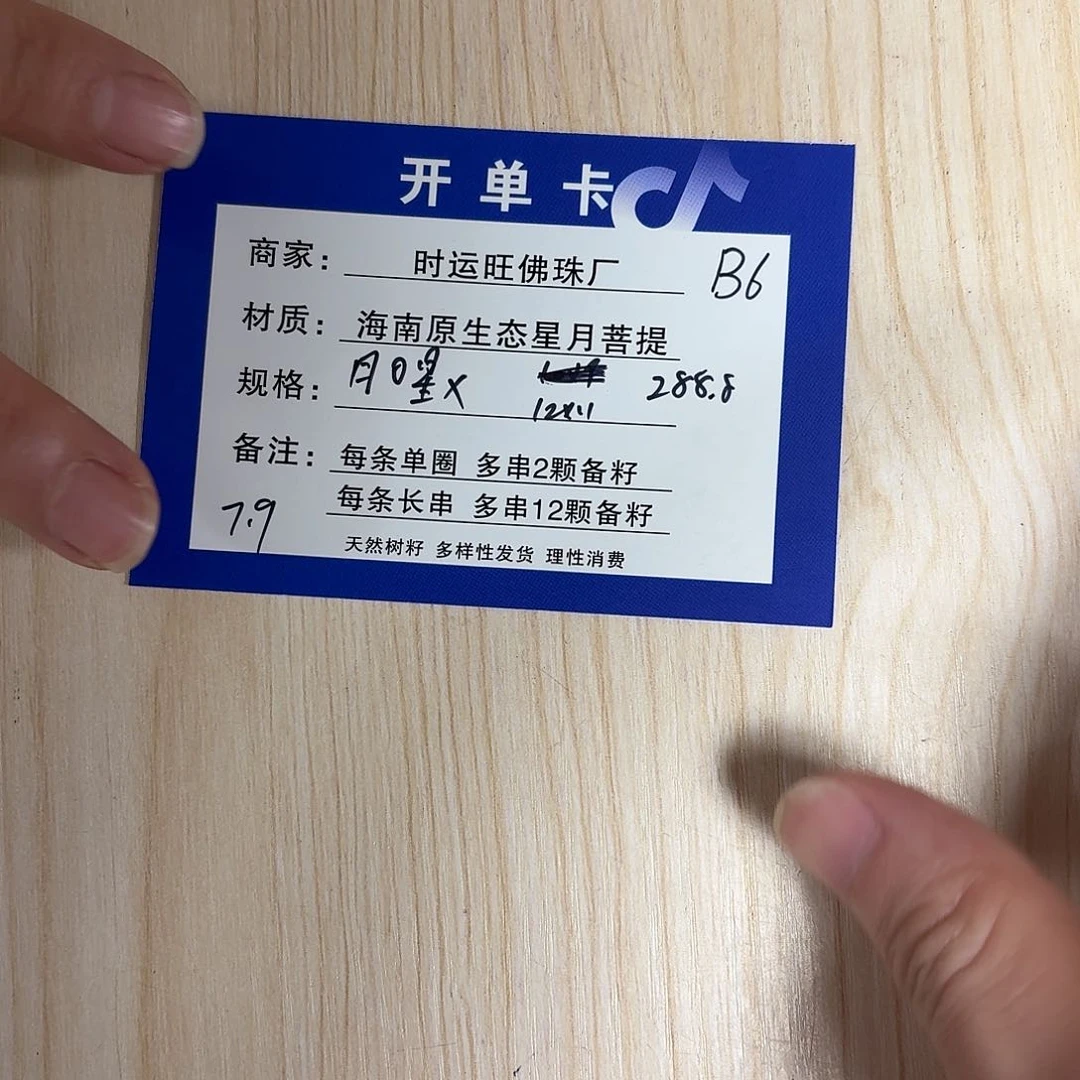 星月菩提手串B6