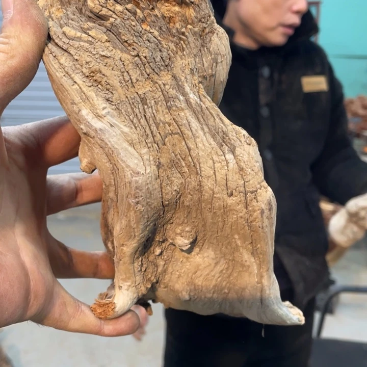 萌****3我们都是好孩子呀