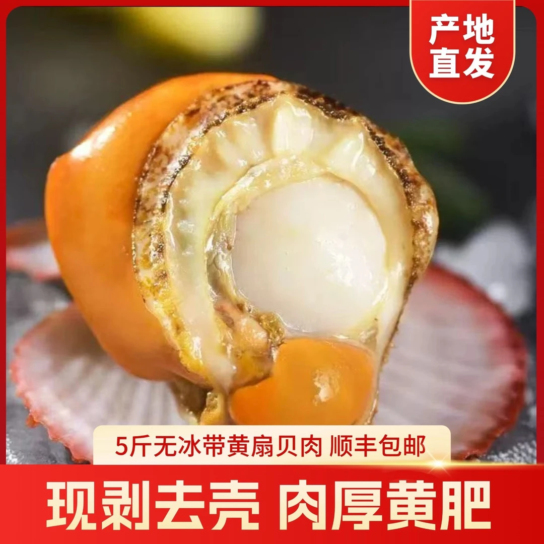 【5斤小慧家扇贝海鲜肉】顺丰极速次日达当季新货40-60当天发货精品