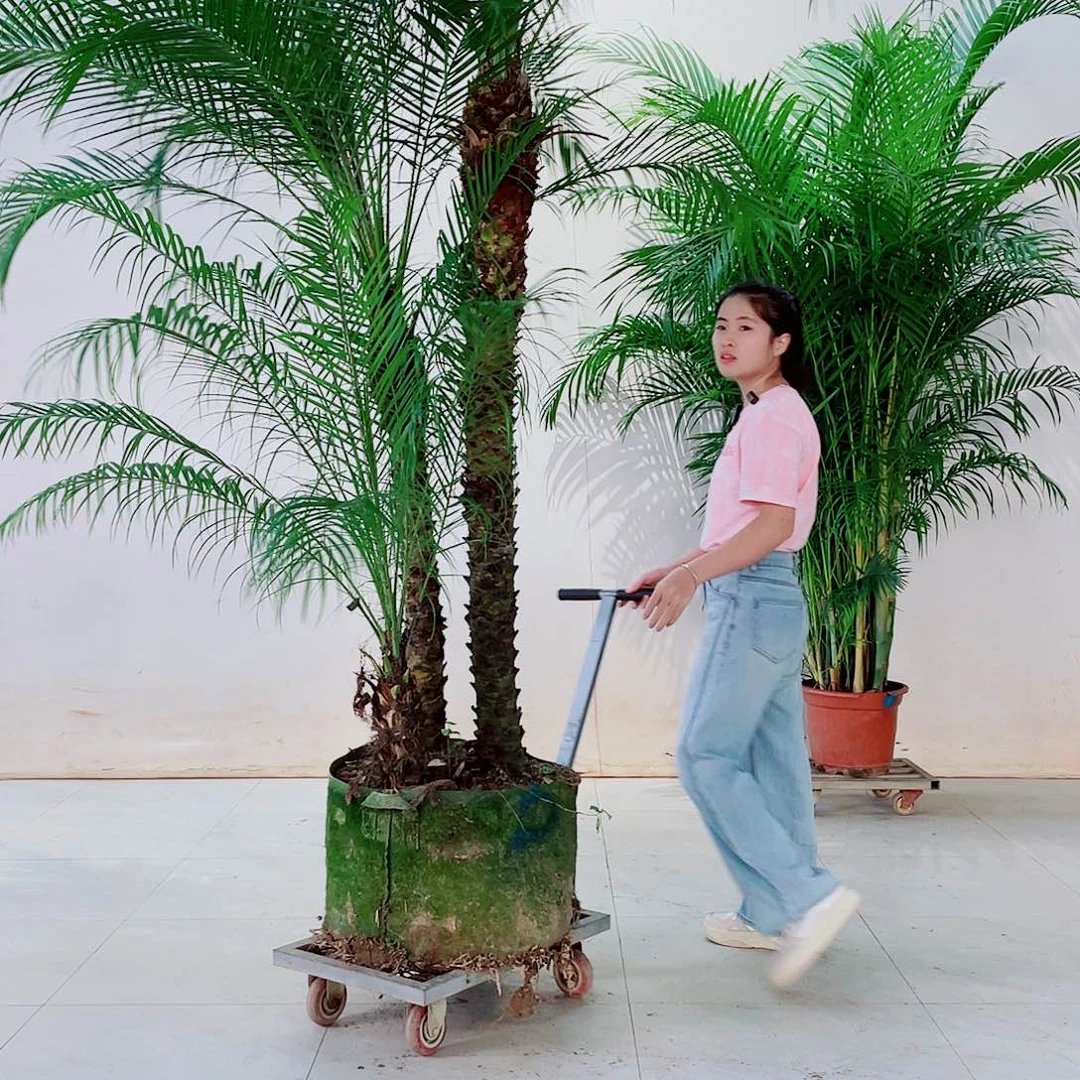 无花朵用****88999988999