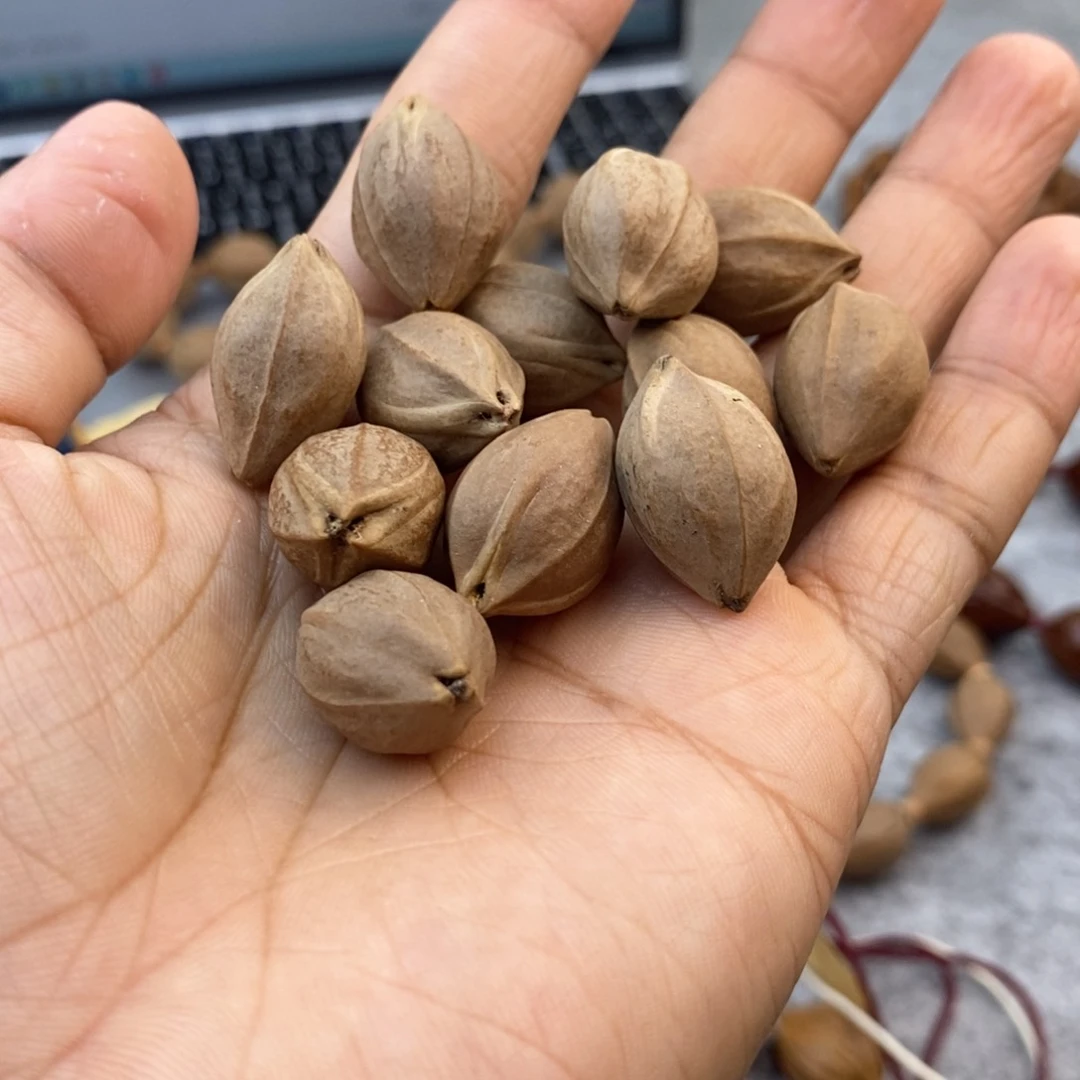 橄榄核手串/手链翔****猪15鲨鱼背➕四花三通