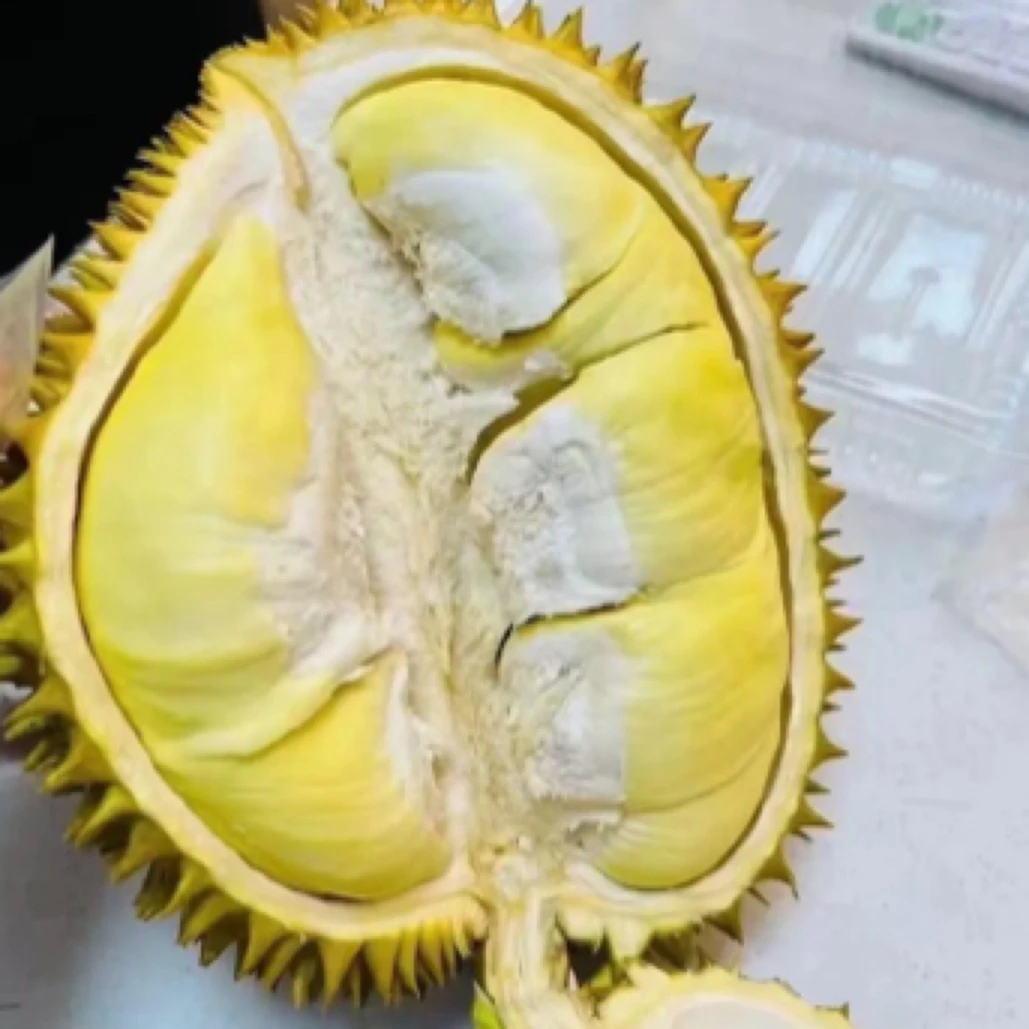 果切特价榴莲肉1份（湿包/夹生/生包/烘焙/煲汤可用）直接食用不包口感介意慎拍1-5斤鲜果切水果鲜果切同城