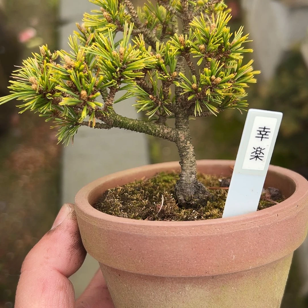 大*湖健健康康快快乐乐健健康康