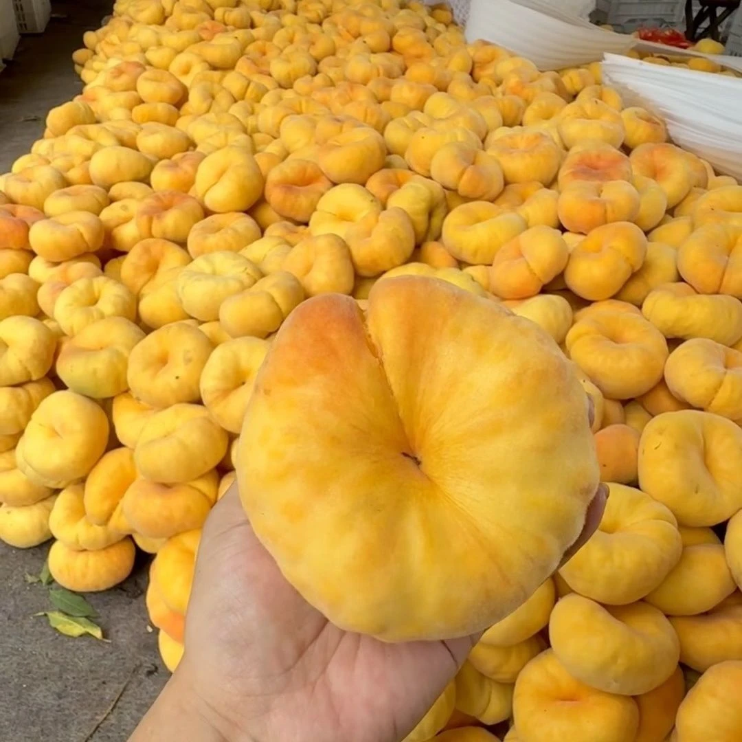 黄金蟠桃1000g±50g山东省