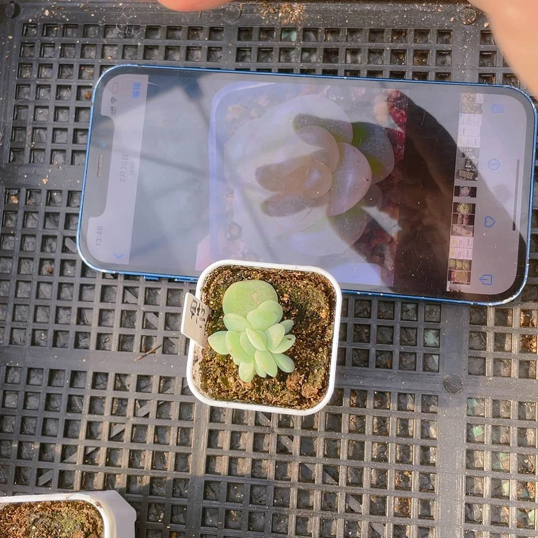 A****5云䄂盆一个满25包邮