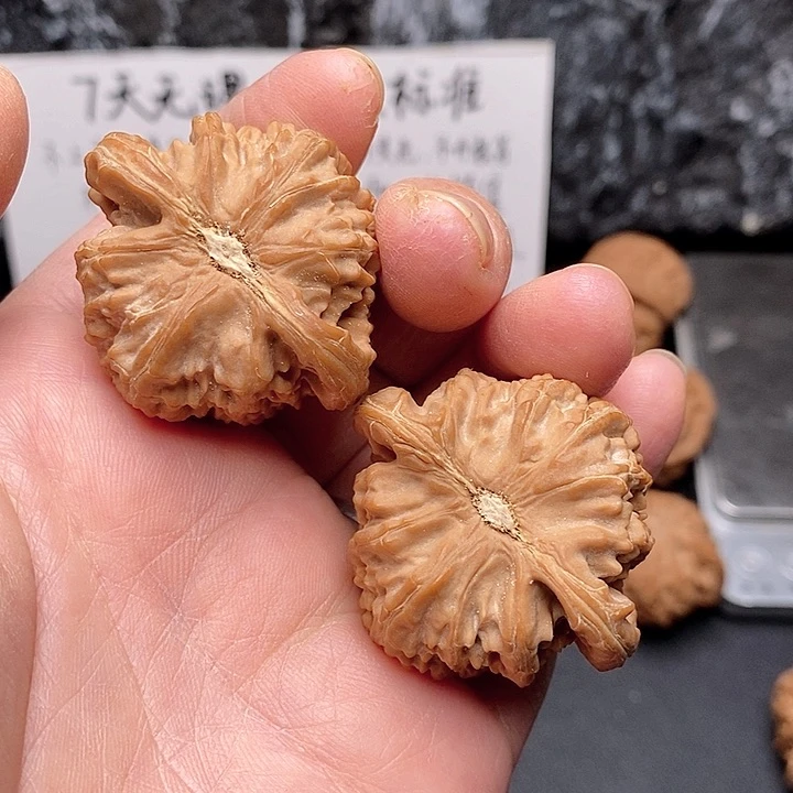 吊坠桃核吃****?41原装白狮子