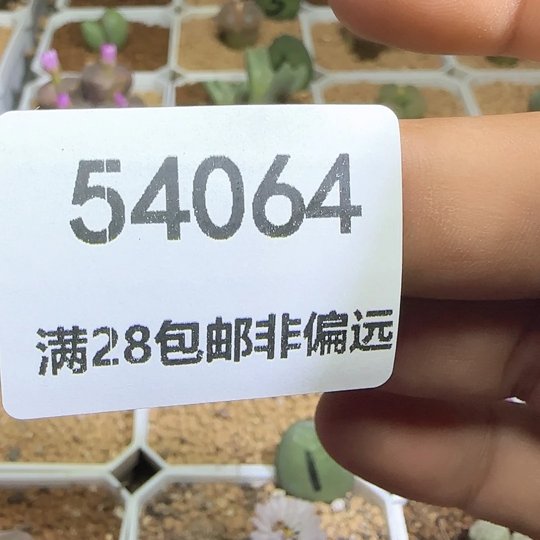 川***行哈哈哈哈哈哈哈54064