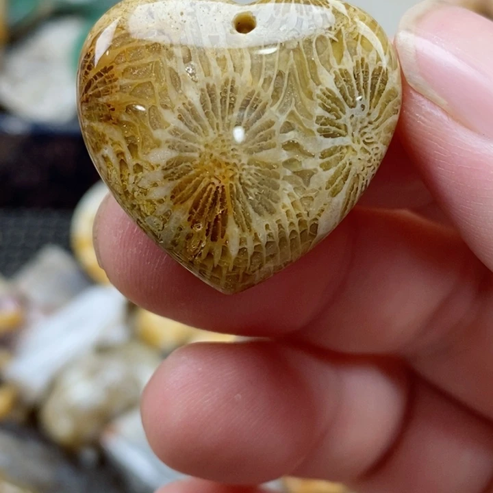 硅化珊瑚（珊瑚玉）未镶嵌颈饰